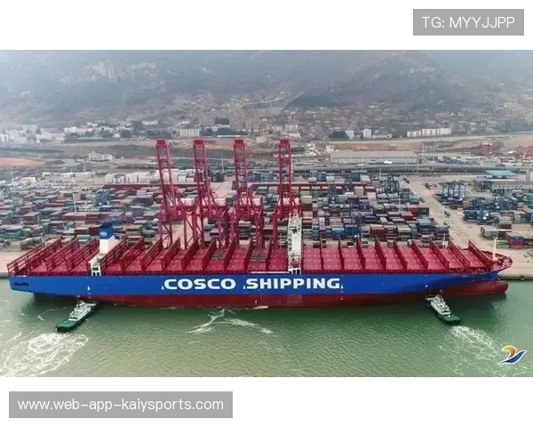 海港打法更国际化：从本土到全球，打造国际化足球新格局