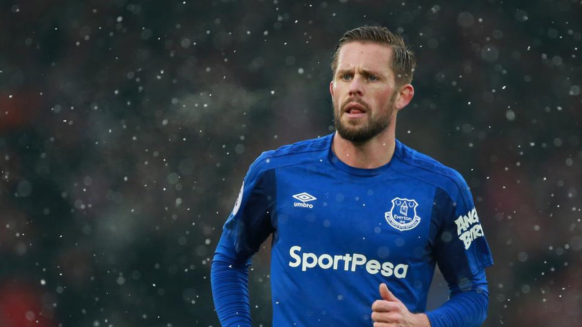 BLG黑马赛季逆袭故事，黑马逆袭壁纸